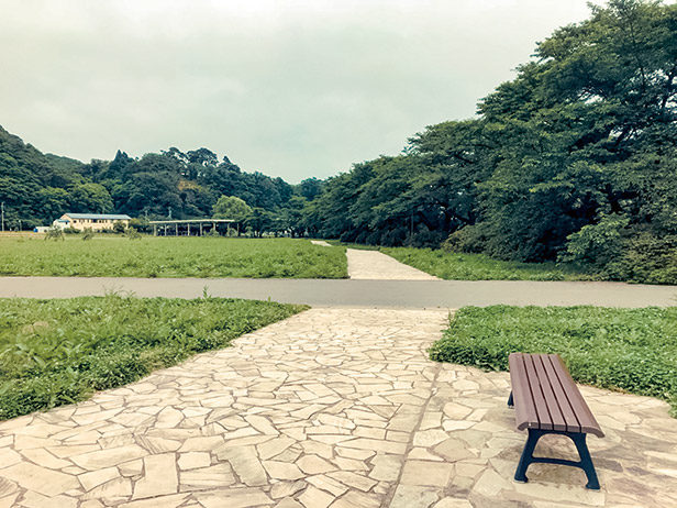 早朝の展勝地公園
