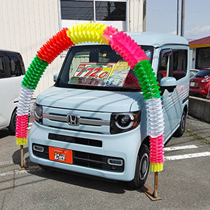 N-VAN